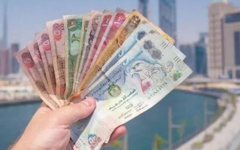 “الإماراتي مُستقر” كم سعر الدرهم الاماراتي سوق سوداء اليوم الأحد 14 أبريل 2024 وبجميع البنوك المصرية