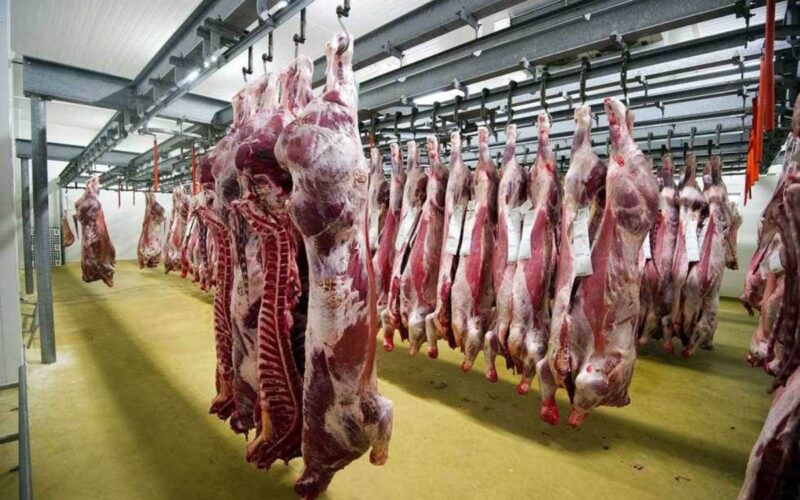 قائمة اسعار اللحوم اليوم الثلاثاء 16 ابريل 2024 في جميع محلات الجزارة والمنافذ