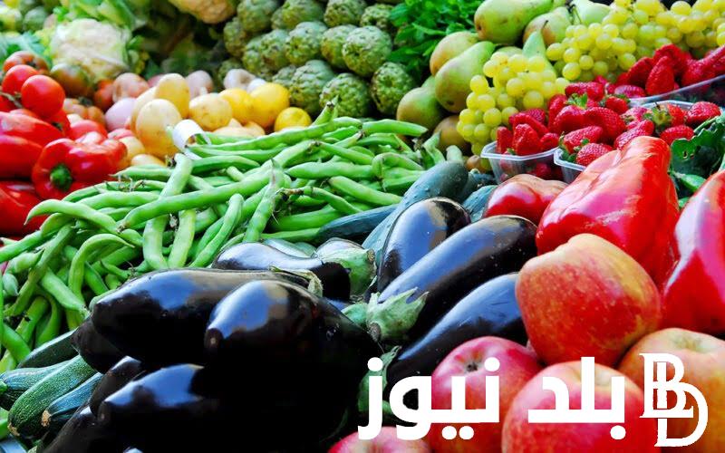 جدول اسعار الخضار اليوم السبت 13 ابريل 2024 والفاكهه في سوق العبور