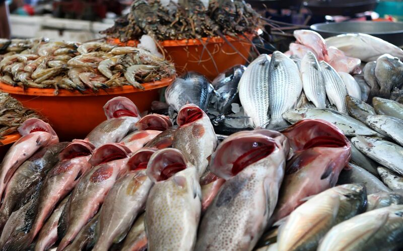 ” جمبري وكابوريا “.. اسعار السمك في سوق العبور اليوم الإثنين 22 ابريل 2024 للمستهلك في مصر