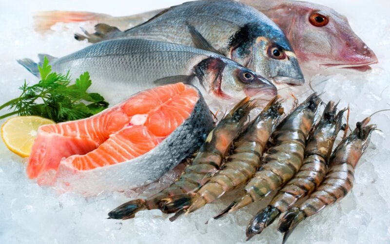 تراجع في اسعار السمك اليوم الثلاثاء 30 أبريل 2024 في سوق العبور