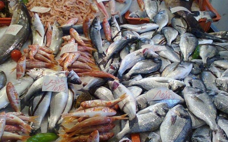 “ضربة للتجار” سعر السمك البلطى اليوم الثلاثاء 30 أبريل 2024 في الاسواق