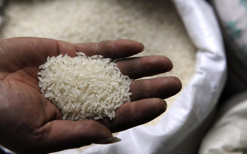 “السعر الجديد” سعر طن الأرز الشعير اليوم الاثنين 15-4-2024 للمُستهلك وللتجار في جميع المحلات والاسواق