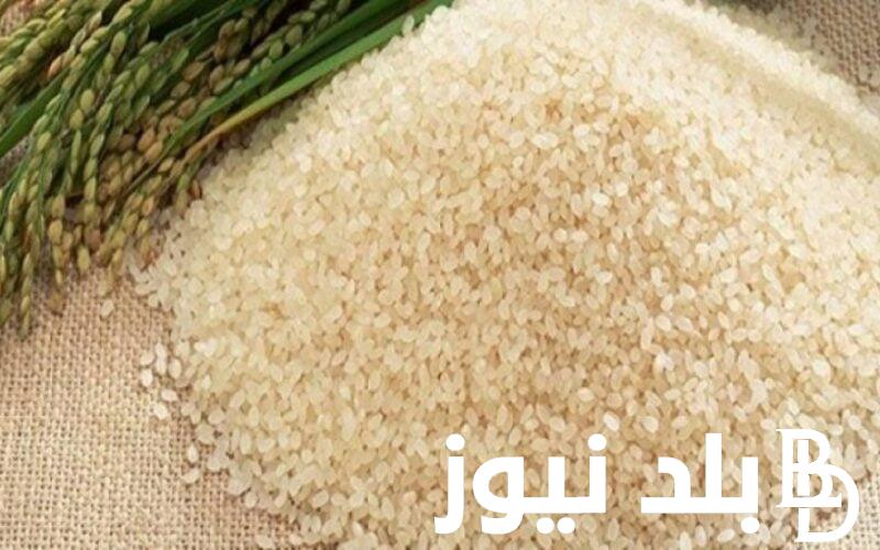 “الحقي خزني” سعر طن الأرز الشعير اليوم الاثنين 15/4/2024 في المصنع وللمستهلك