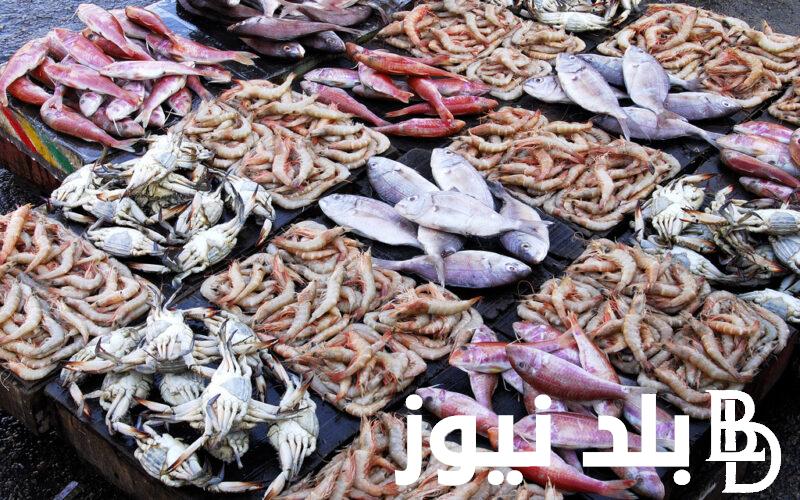 ما هي اسعار السمك اليوم الثلاثاء 30 ابريل 2024 في سوق العبور بمصر