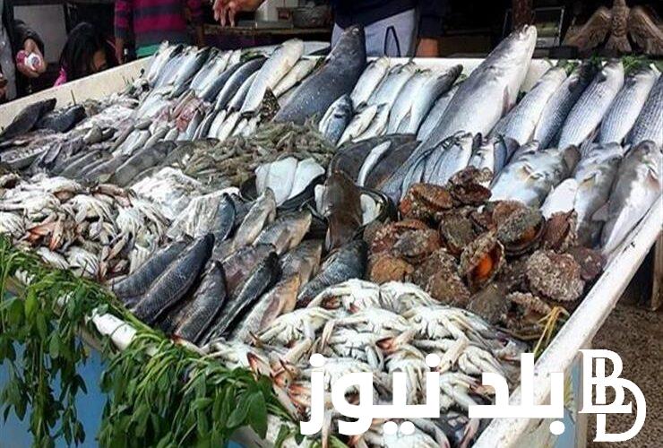 “حي ولسة جي” اسعار السمك اليوم الاربعاء 1 مايو 2024 بسوق العبور بالقاهرة