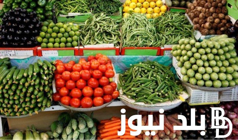 “السعر بالكيلو” اسعار الخضار اليوم الجمعة 10 مايو 2024 في سوق العبور والاسواق المصرية