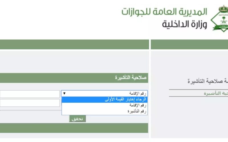 خطوات الاستعلام عن تأشيرة السعودية برقم الجواز 2024 عبر visa.mofa.gov
