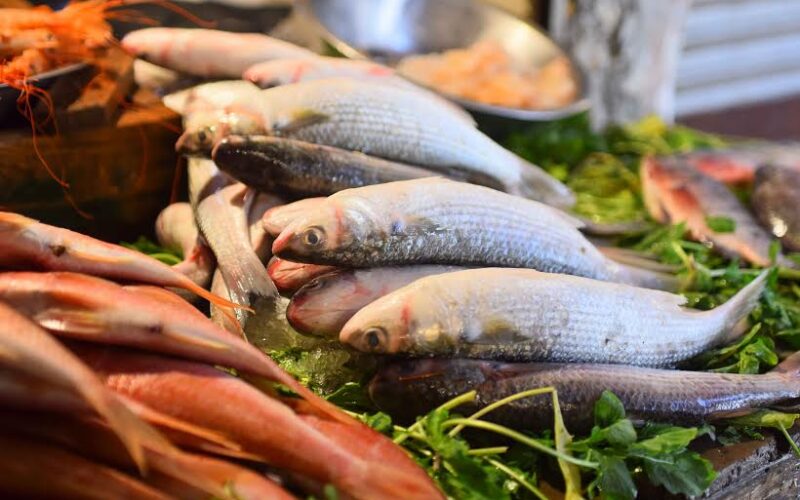 “كل الانواع” أسعار السمك اليوم الأربعاء 1 مايو 2024 في الاسواق التجارية