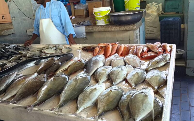 اعرف أسعار السمك اليوم للمستهلك في سوق العبور بتاريخ الجمعة 10-5-2024
