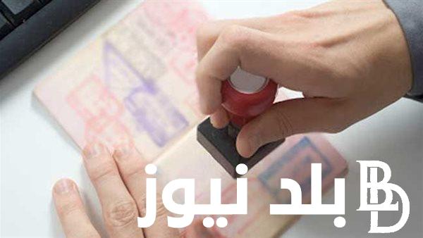 “mofa.gov.sa” استعلام عن تأشيرة برقم الجواز 2024 بالخطوات و أنواع تأشيرات السفر إلى السعودية