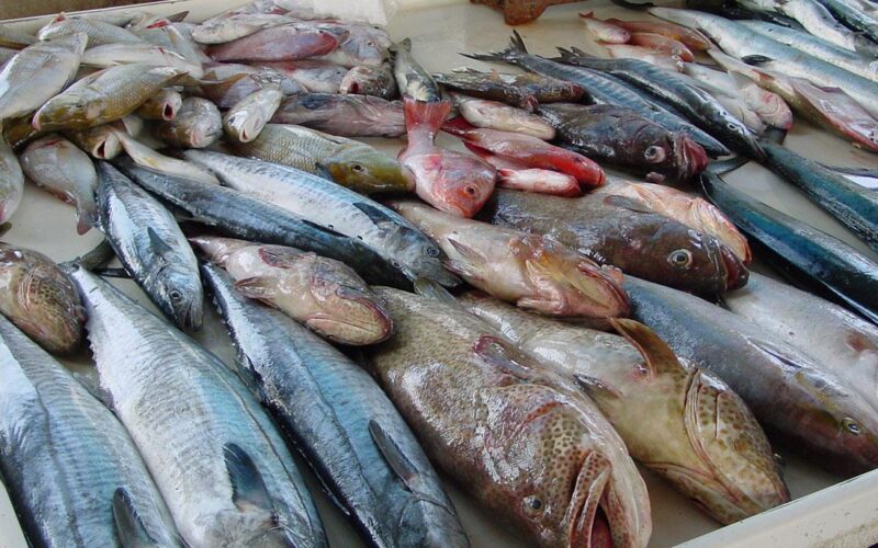 “لعشاق الفوسفور” أسعار السمك اليوم الاربعاء 1 مايو 2024 للمستهلك في جميع الاسواق
