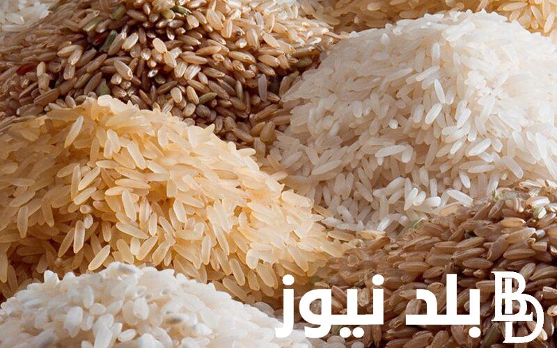 الطن بـكام؟.. سعر الارز الشعير اليوم الجمعة 10 مايو 2024 للمستهلك بالأسواق المصرية